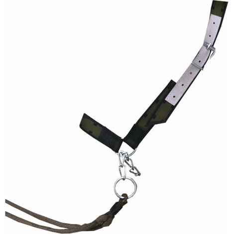 Alloggiamento supporto cuscinetto DAL-BO 12501