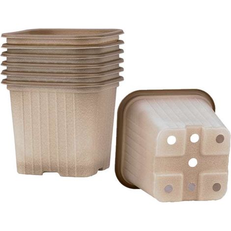 Godet carré bio compostable 8x8 cm (carton de 1239 pièces) - CBA