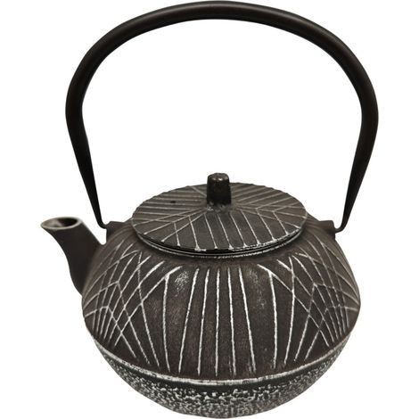Théière de type japonaise noire en fonte 1 litre