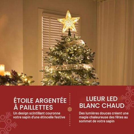 Lot de 10 étoiles scintillantes en PVC, 26,7 cm (10,5 pouces), lumière blanc chaud et dorée, à piles, pour décorer votre sapin de Noël et vos fêtes. (1/4)