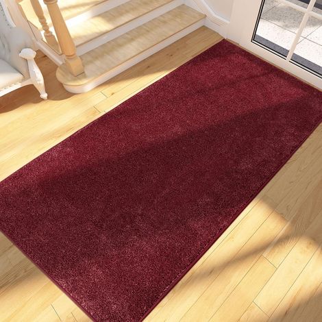 Fußmatte für den Innenbereich, 80 x 178 cm, rutschfest und maschinenwaschbar, weiche, saugfähige Fußmatte für Hunde, Eingang, Türbereich, Flur, Durchgang und Küche (1/5)