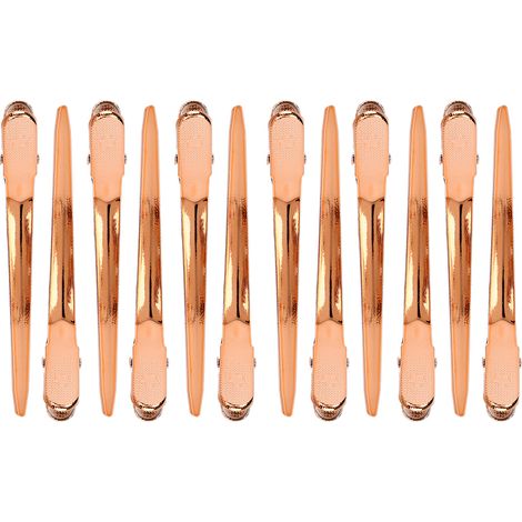 12pcs Pinces de Coiffure Canard Miroir Or Rose pour Salon Barbier Coiffeur, Serre-Cheveux Professionnels Robustes (1/5)