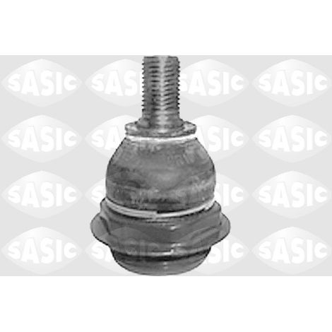 GOUPILLE DE BRAS OSCILLANT 6403533 SASIC