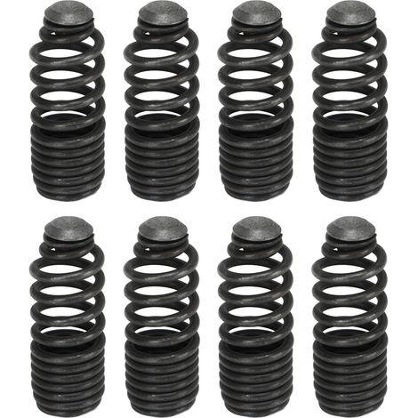 Kit Ressorts Moteur - Pour Moteur B-Series DOHC VTEC Type-R GSR B16A B17A B18C - Référence 312-05-0200 - Lot de 1 (1/5)