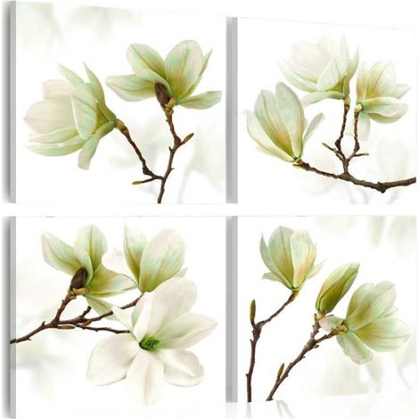 Tableau Imprimé "Admiration of Magnolia" 40 x 40 cm (1/2)