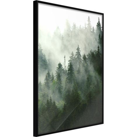 Affiche Murale Encadrée "Steaming Forest" 40 x 60 cm Noir