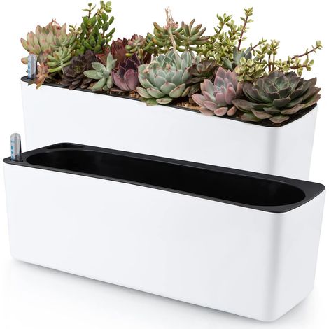 2 Pcs Pots de Fleurs Auto-arrosants, Pot de Fleurs rectangulaire avec indicateur de Niveau d'eau, boîte de Jardinage de fenêtre pour Plantes d'intérieur, succulentes, pousses, Poivre (1/5)