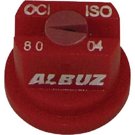 Buse ALBUZ OCI8004