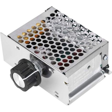 Motore azionato a 220 V, regolatore di tensione CA da 4000 W, alimentatore a 220 V, regolatore di velocità del motore, regolatore di velocità per motore elettrico -Crezuo