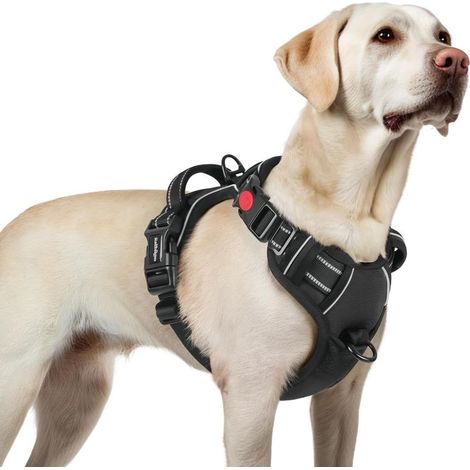 Harnais Chien avec 3 Boucles, Facile à Mettre et à Enlever, Harnais Anti Traction pour Chien avec Poignée et Attache Devant, Réglable, Réfléchissant, Arnet pour Chiens Grand, Noir, L (1/5)