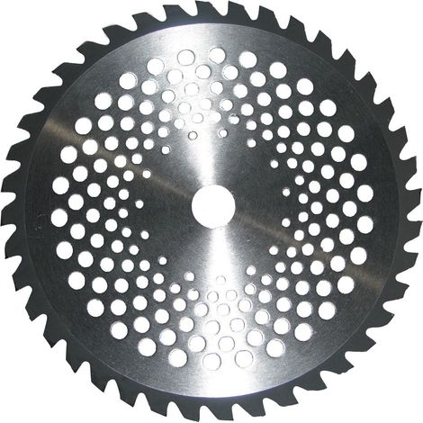 Disco x decespugliatore tungsteno 40d.mm.255 sp.mm.2 - Salone (1/2)