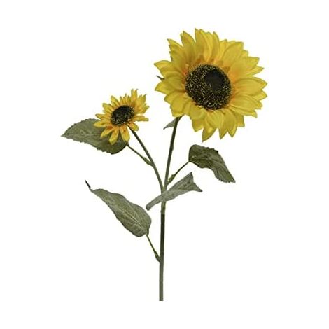 EVERLANDS 800618 Bouquet DE Girasole artificiale 10x15x72cm, Multicolore, Standard (1/2)