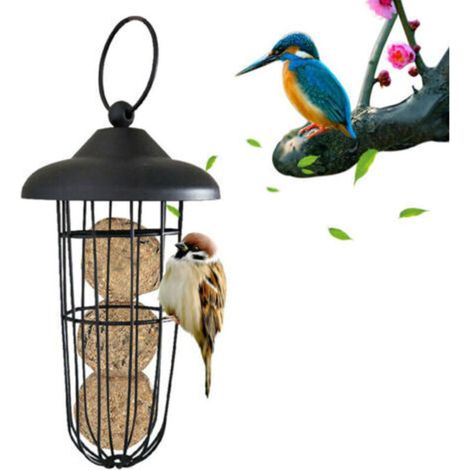 Mangeoire à Oiseaux, Mangeoire à Oiseaux en Métal à L'épreuve des écureuils Mangeoire à Oiseaux Fer à Suspendre Automatique Porte-Boule De Graisse Outil d'alimentation,pour Mésanges (1/5)