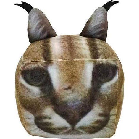 Roblox Raise A Floppa Chat Carré 3D Peluche Chat Doux Jouet en Peluche Cadeau de Noël ou d'Anniversaire pour Enfants (1/4)