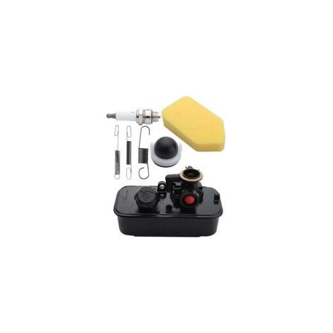 Carburador y depósito de combustible para motores Briggs & Stratton, incluyendo bujías, muelles, filtros de aire y bombas de arranque. (Números de teléfono: 795469, 794147, 498809, 7954)