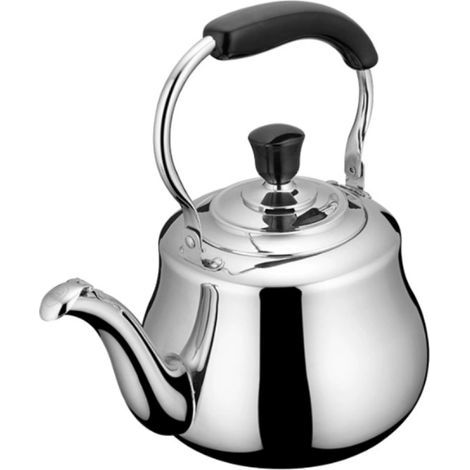 Bouilloire en Acier Inoxydable 3 L Compatible Tous Feux. Design Élégant et Pratique. Parfaite pour Boissons Chaudes (1/5)