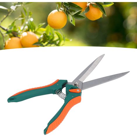 Sécateur à long bec pour le jardinage domestique, les arbres fruitiers, les plantes en pot et l'aménagement paysager. (1/5)