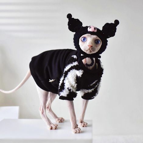 Pull d'hiver chaud pour chien, chiot ou chat, taille M (1/5)