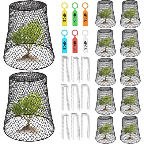 Lot de 12 cages de protection pour plantes – Grillage métallique 23x23x15cm, protège fleurs et légumes, anti-animaux, jardin extérieur (1/5)