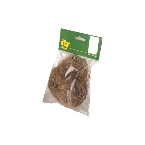 Spugna marina naturale per applicazione pitture decorative,misura piccola - Salone (1/2)