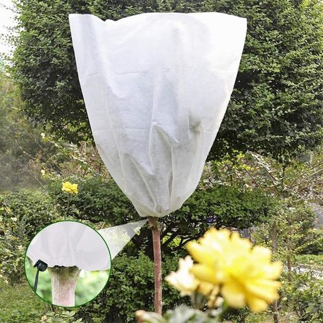 Lot de 2 Voile Hivernage Plante Exterieur 100 x 80cm, Housse Protection Plantes en Pot Contre Le Froid et Le Gel, 60g/m² Bâche pour Olivier Palmier Citronnier Arbustes (1/5)