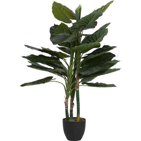 Taropflanze mit Topf 80X80X133 cm (1/5)