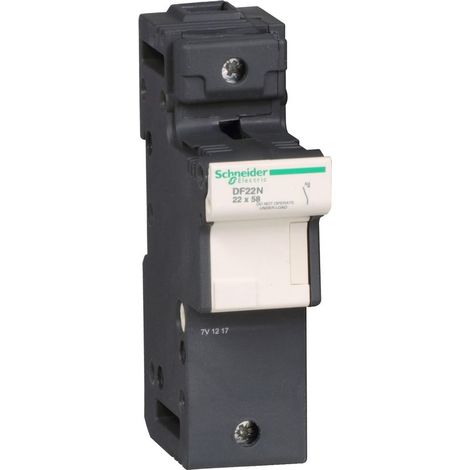 TeSys DF LS1/GK1 Porte-fus n 125a pour fusible 22 x 58 mm SCHNEIDER DF22N