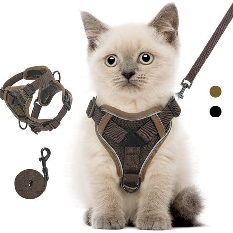 Harnais pour chat anti-évasion avec laisse, réglable et respirant, confortable avec bandes réfléchissantes pour sécurité nocturne, idéal pour promenade en extérieur (1/5)