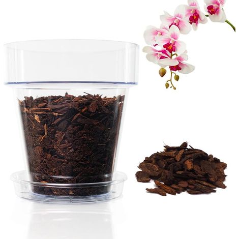 Kit de rempotage pour orchidées : pot transparent avec trous de drainage - Ø 11,5 cm - 1