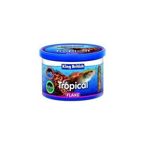 King British Tropical Fish Flake Food - 55g - 516404