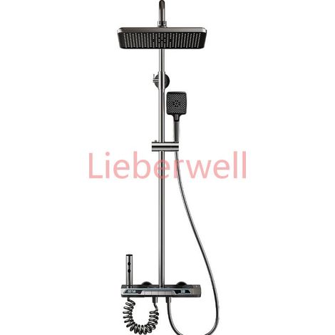 Système de douche avec lumière ambiante, double écran, robinet de douche numérique, affichage de la température, salle de bains à pluie, ensemble de douche chaude et froide (1/4)