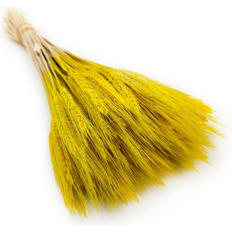 Getrockneter Triticale - Gelb (1/5)