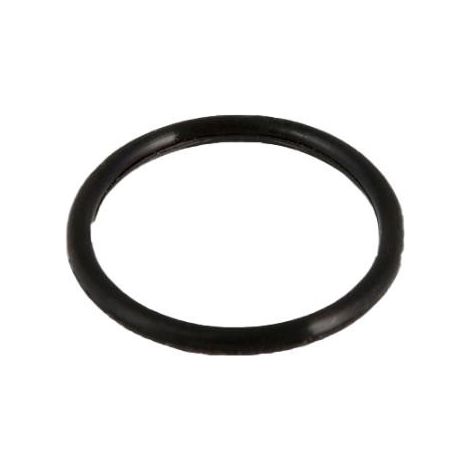 BESTWAY - P6005 - O-ring per tubo del filtro da 32 mm (INTEX 10134)