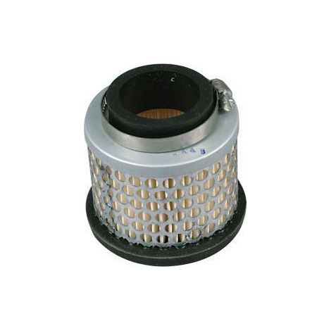 Filtro aria motore rasaerba compatibile BERNARD 364