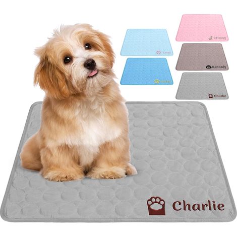 1 Tapis Rafraîchissant Chien, Soie Glacée 0,5mm, Résistant Aux Rayures, Pour Lit Voiture Canapé