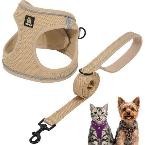 Harnais et Laisse pour Chien et Chat Gilet Réfléchissant en Maille Respirante Ajustable pour Petits Chiens et Chats Vert Rose Beige Violet Noir (1/5)