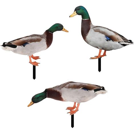 Acryl-Enten-Gartenschild, Rasenstecker, Party-Tier-Stecker, Dekoration für den Außenbereich