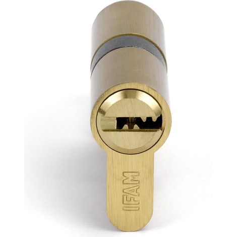 Cylindre Start STRP3030L - Serrure de sécurité cylindrique - Surface en laiton - 30 x 30 mm - Avec 5 clés de sécurité en acier nickelé - Cylindre profilé européen - Porte intérieure et extérieure