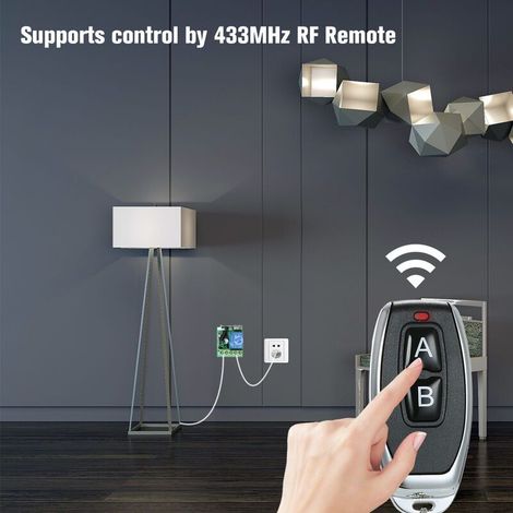 Commutateur Sans Fil, Commutateur De Telecommande Dc 12V 1Ch Avec 2 Telecommandes (1/4)