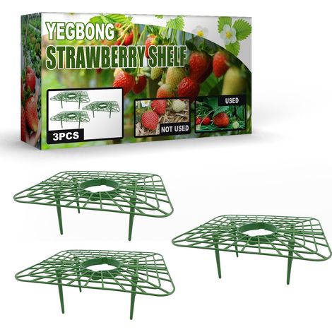 Lot de 3 supports à fraisesSupports pour plants de fraisiers, jardinières à fraises (1/5)