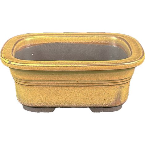 Vaso per bonsai Giapponese Morrisan rettangolare in gres smaltato giallo senape 11x8,5x4,5 cm - B03-3-3F