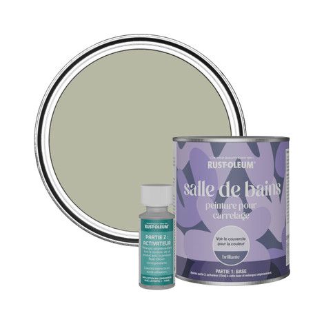 Peinture pour Carrelage de Salle de Bain, Finition Brillante - Grège 750ml (1/3)
