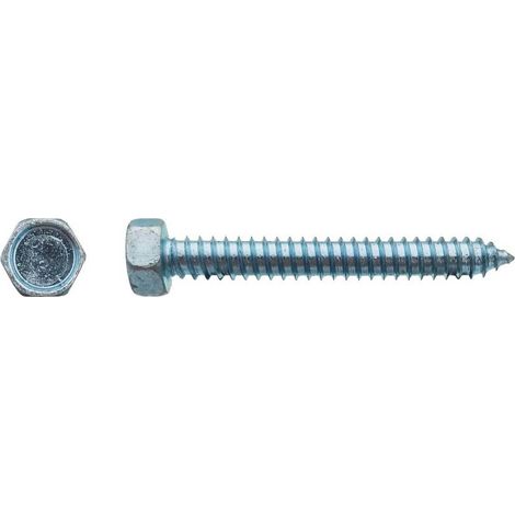 500 Vis à Tôle Tête Hexagonale N8 4.2 x 19 mm - DIN 7976 - Zingué blanc - D-Work