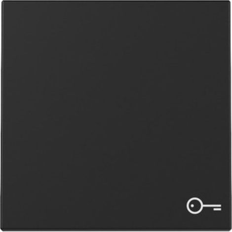 Gira Wippe Symb. Tür System 55 Schwarz m [3287005], 3287 005