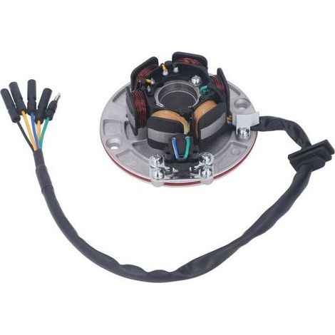 Magnetzündstator, Schwungrad, Zündspule, 114 mm Leistungsplattendurchmesser für YX 150cc 160cc Dirt Pit Bike (1/5)