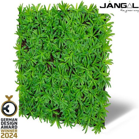 JANGAL Pannelli acustici Modulabili in FLORA sintetica ULTRAREALISTICA 52x52cm mod. PODOCARPUS TEA TREE