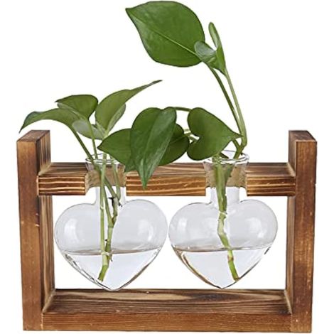 Terrarium pour plantes avec support en bois, stations de propagation, pots suspendus, vase en verre transparent en forme de cœur pour plantes aquatiques vertes Fit(B) (1/5)