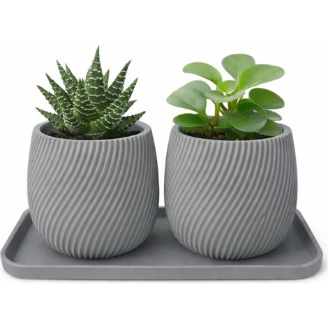 Ensemble de 2 mini pots de fleurs avec une soucoupe grise (1/3)