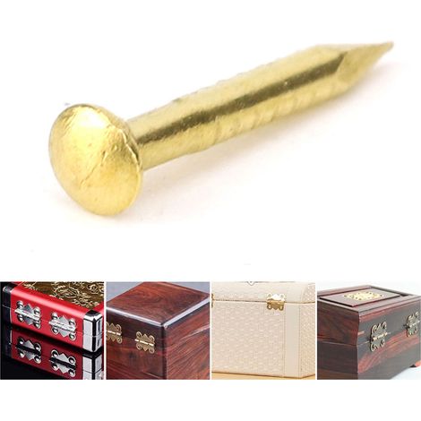 100 Clous à Tête Ronde en Laiton pour Fixation de Charnières, Quincaillerie Meuble 10-22mm (1/5)