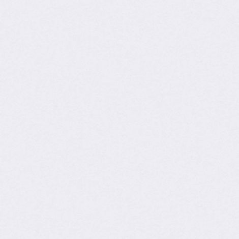 Papier peint uni blanc aspect lisse – Tapisserie isolante thermique – 10,05 x 0,53 m – À peindre ou à recouvrir pour salon – Bricoflor (1/4)